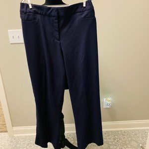 Plus Size Navy Dress Pants